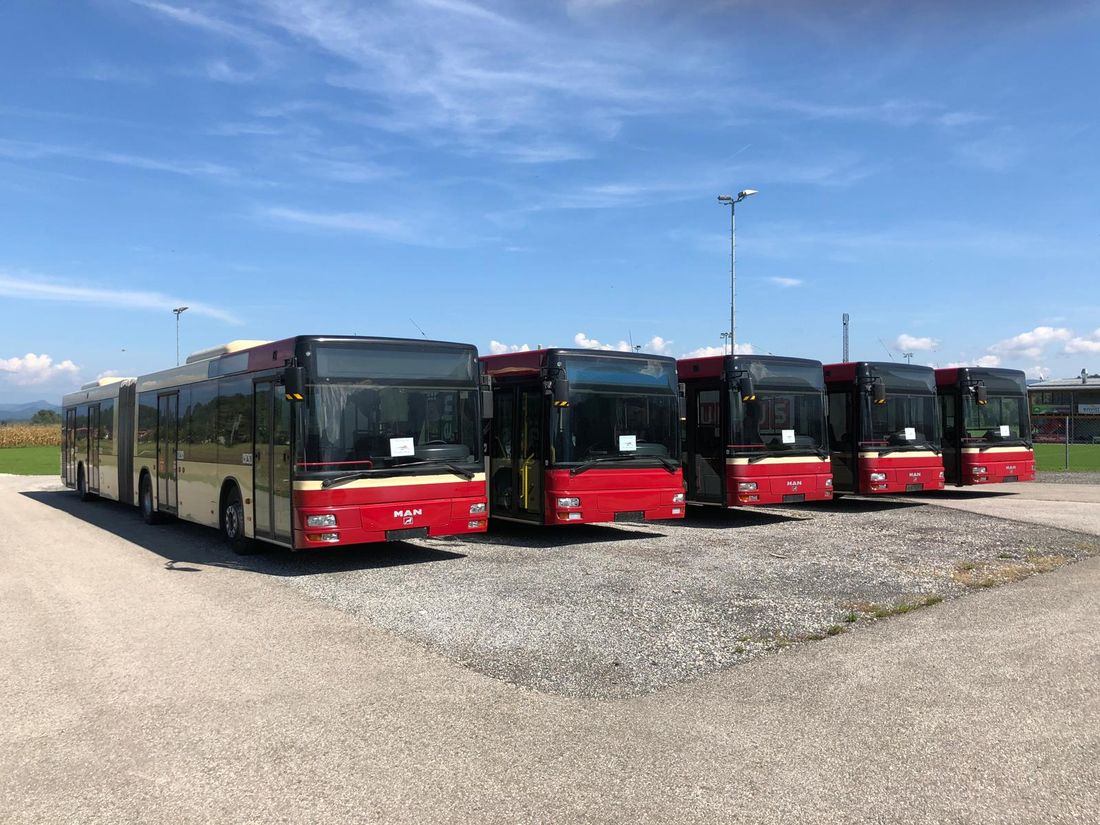Busflotte der VerkehrsBetriebe Globasnitz, Frontalansicht