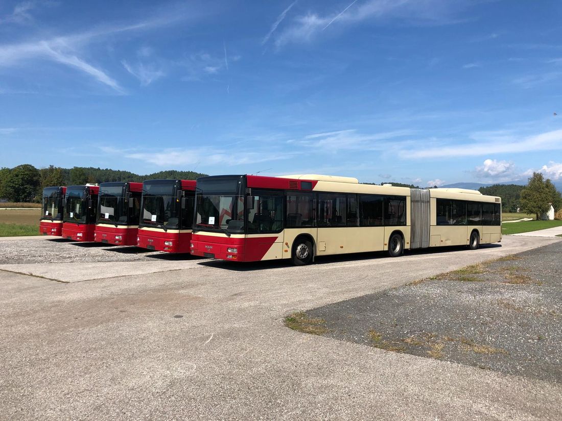 Gelenkbus und Linienbusse der VerkehrsBetriebe Globasnitz