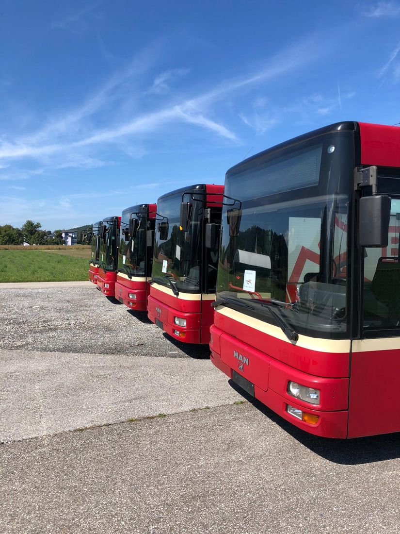Busflotte der VerkehrsBetriebe Globasnitz, seitliche Ansicht